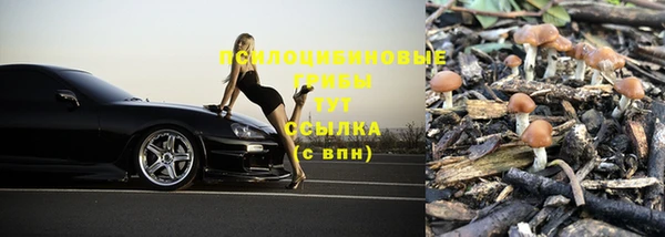 ECSTASY Алексин