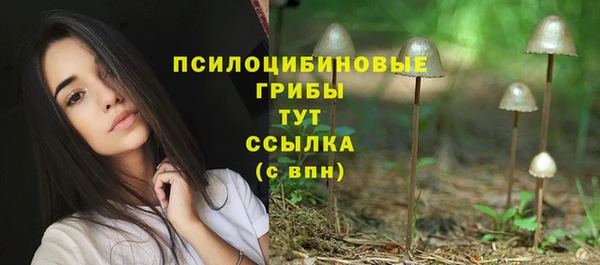 крисы Россошь