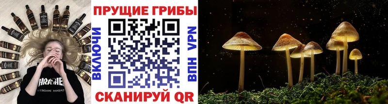 MEGA рабочий сайт  Звенигово  Псилоцибиновые грибы прущие грибы 